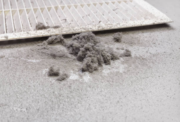 Best HVAC Air Duct Cleaning  in Easton, MD