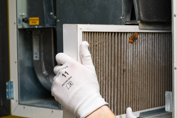 Best Ductwork Cleaning Services  in Easton, MD