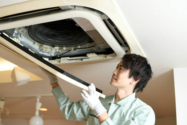 Best Air Vent Cleaning Services  in Easton, MD