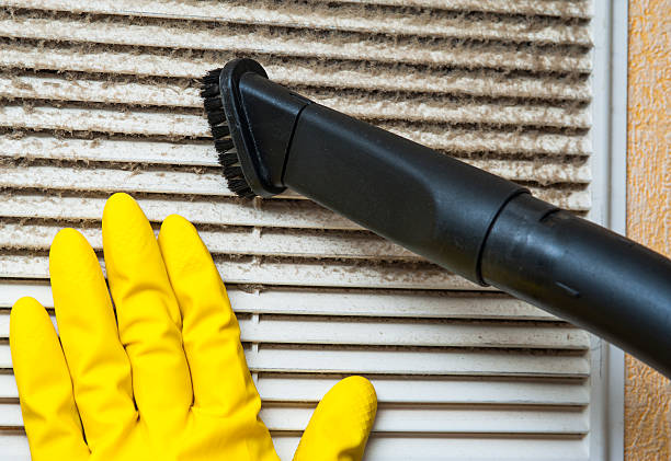 Best Local Air Duct Cleaning Services  in Easton, MD